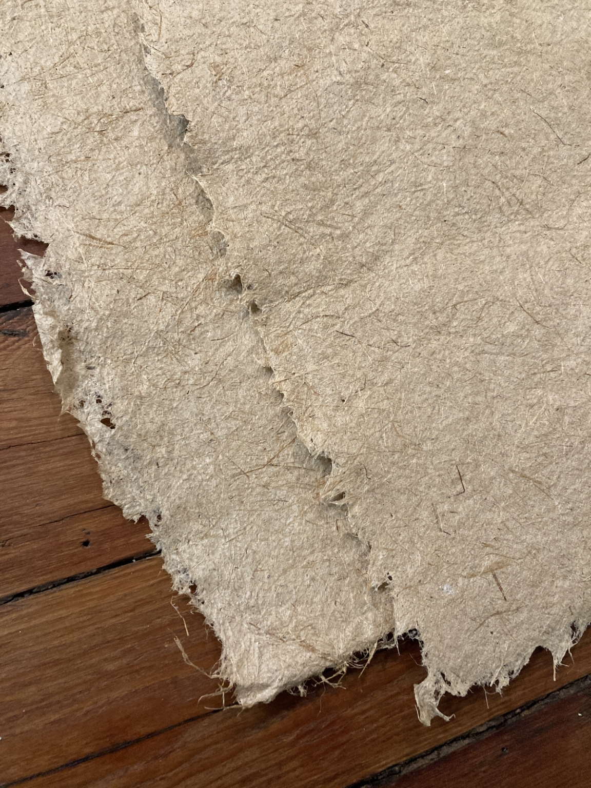 Papermaking with Invasive Plants Stratford Crier