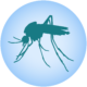 Mosquito_site_graphics_generic_mosquito_1080